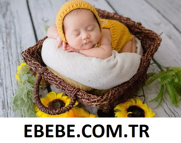 ebebe.web.tr e-ticaret projesi & web sitesi için yatırımcı iş ortağı arıyoruz.